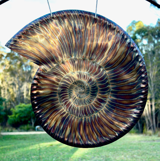 38" Ammonite Fibonacci Gong